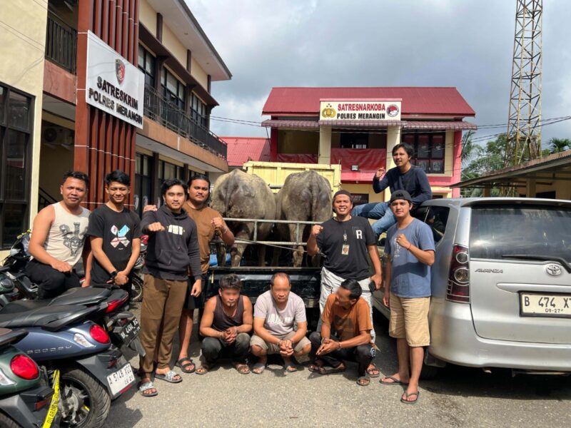 Tiga pelaku pencuri spesialis ternak, usai di tangkap bersama barang bukti ternak yang di cutinya.foto istimewa 