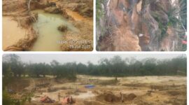 Kondisi lokasi Penambangan Emas Tanpa Izin (PETI) di kawasan Afdeling III, lahan Koperasi Tanjung Bungo, Kecamatan Tebo Ilir, Kabupaten Tebo. Terlihat aktivitas tambang ilegal yang merusak lahan dan lingkungan sekitar.